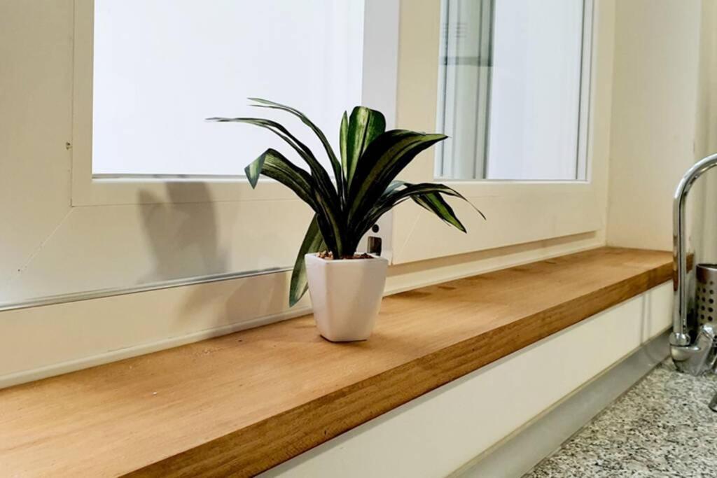 Apartamento Interior En El Absoluto Centro Ba Альхесирас Экстерьер фото